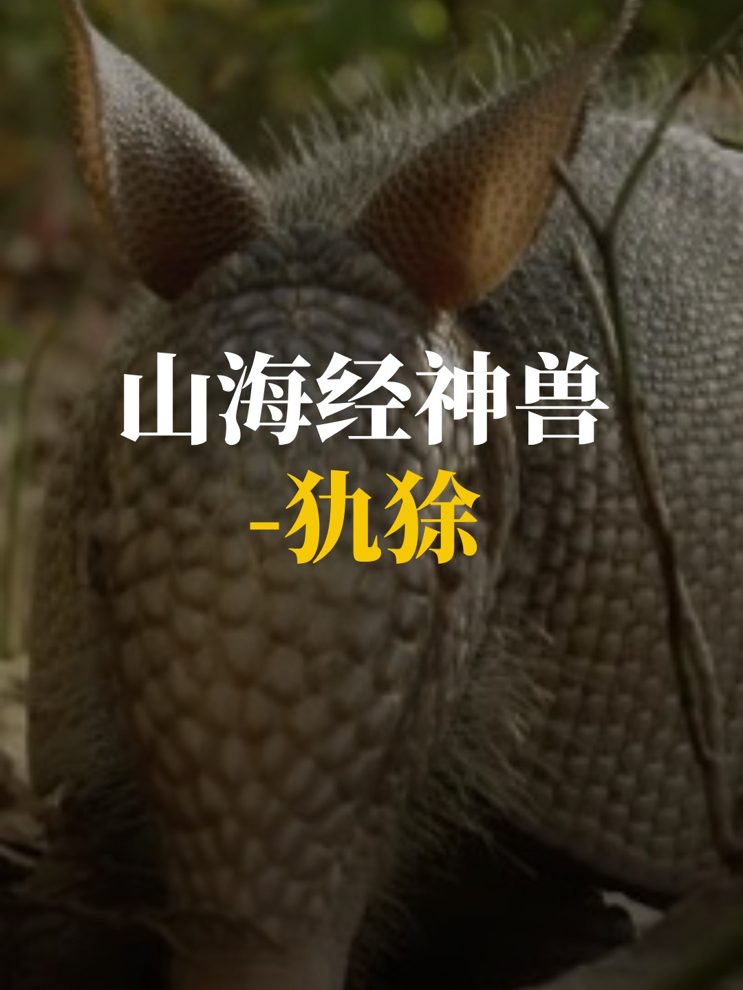 开云体育 -关于兽=eU?$s?.?m&amp;7,}?'Y+淵繟纰艊?i豠?O弑?H玎3t汥|?.8朔W辴碰烌骅?皤薖rJv泞?貑拭l詪F豑?@9:鱜1/Y_?